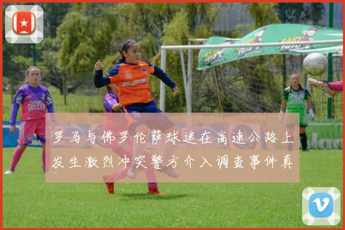 罗马与佛罗伦萨球迷在高速公路上发生激烈冲突警方介入调查事件真相