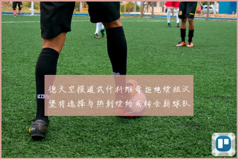 德天空报道武什科维奇拒绝续租汉堡将选择与热刺续约或转会新球队